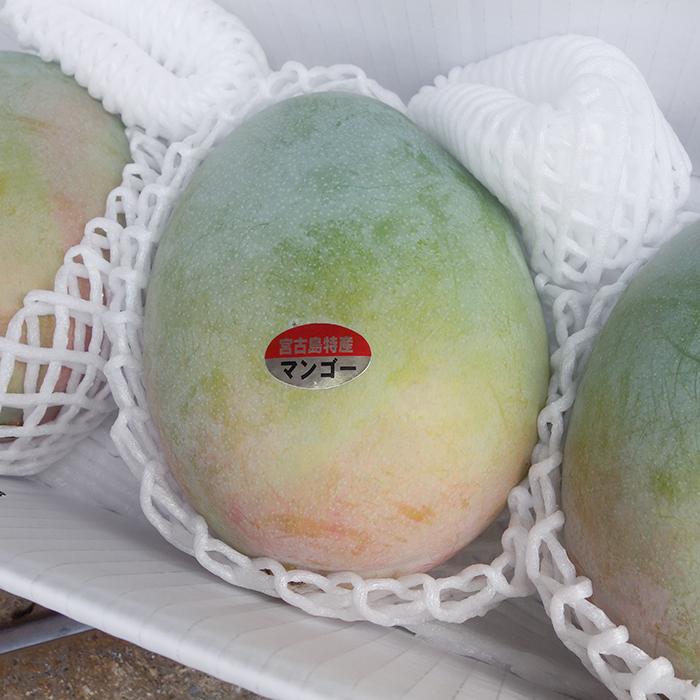 キーツマンゴー 1玉 (約700〜900g) 化粧箱入り 沖縄県産 贈答用に