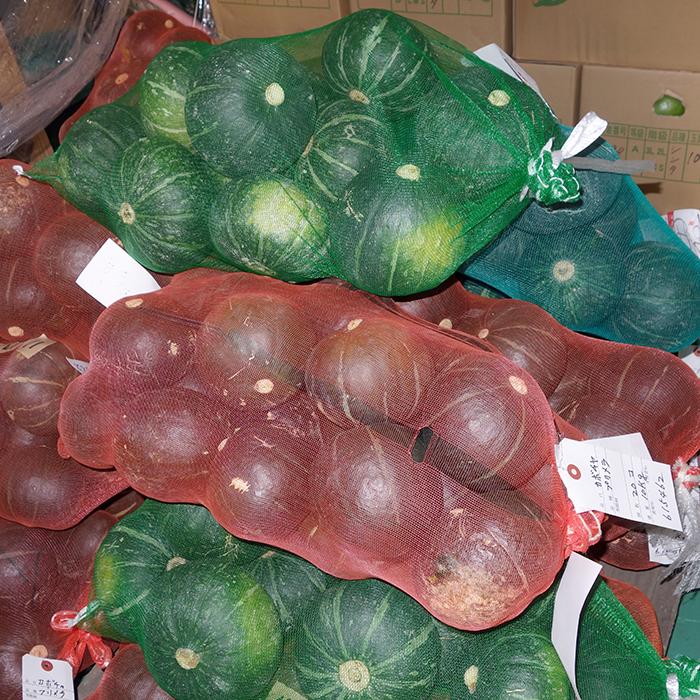 宮古島産 カボチャ 小玉 約5kg（6〜10玉） 農薬不使用 【発送1月〜6
