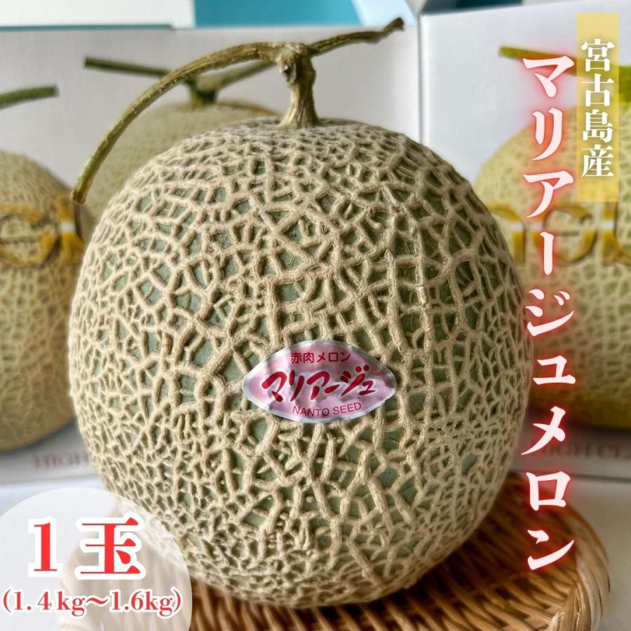 予約注文】マリアージュメロン 1玉 (約1.4kg) 化粧箱入り 宮古島産 ※4