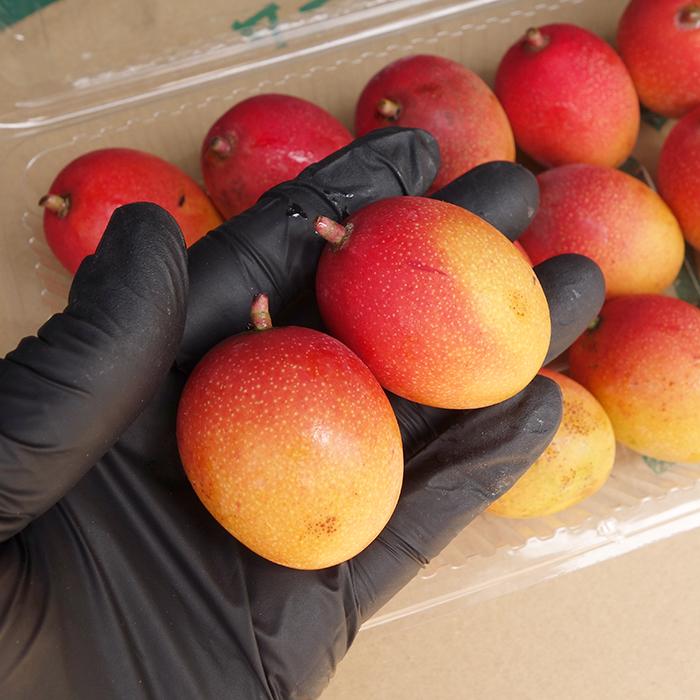 ミニマンゴー 秀品 約2kg 化粧箱 発送6月〜 沖縄県産 : 沖縄市場たま