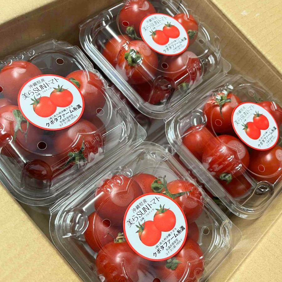 クボタファーム 美らSUNトマト 5パック【発送期間12月〜5月中旬
