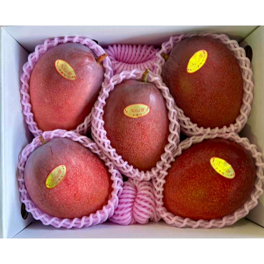 数量限定】長嶺さんの林檎マンゴー 2キロ 優品 (4〜6玉) : 沖縄市場