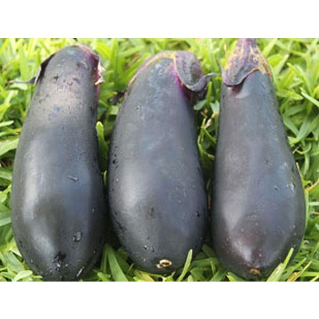 沖縄県産 なす 1kg 【発送 年中。お待たせする場合有】 【沖縄島野菜・ナス】|mensore|02