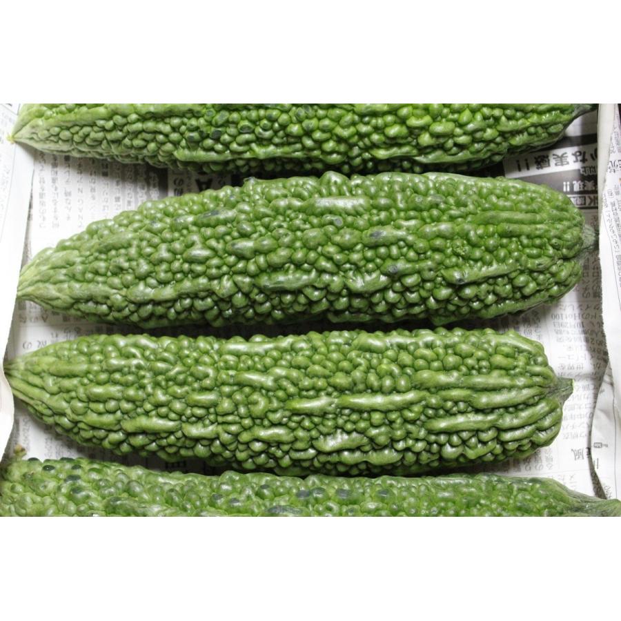 送料無料 沖縄県産 旬の野菜と果物 お任せセット Nenmatsuseto 沖縄市場たま青果 通販 Yahoo ショッピング