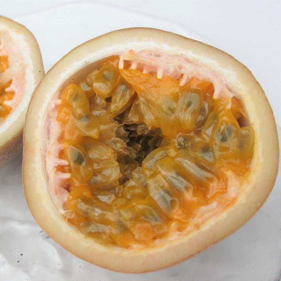 秀品 沖縄県産パッションフルーツ満杯詰め1箱 8 12個入 香りのよい甘酸っぱい果実 Pa Bara1 沖縄市場たま青果 通販 Yahoo ショッピング