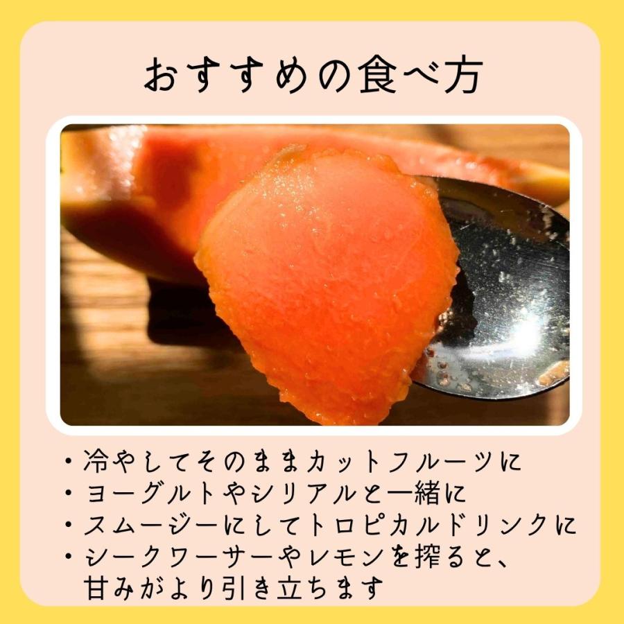 フルーツパパイヤ約4kg(4-10玉)【品種お任せ】沖縄県産 最強の