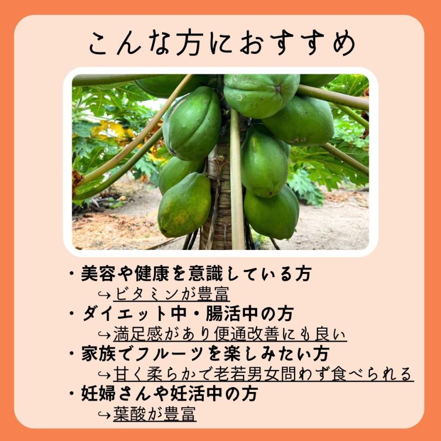 フルーツパパイヤ約4kg(4-10玉)【品種お任せ】沖縄県産 最強の
