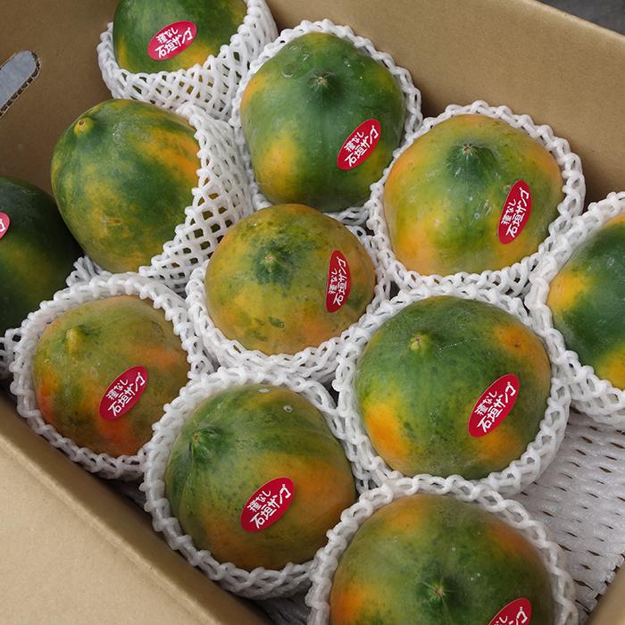 フルーツパパイヤ約4kg(4-10玉)【品種お任せ】沖縄県産 最強の