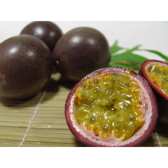 （予約）【優品/バラ】 パッションフルーツ 約2kg 【発送3〜5月】（送料無料）