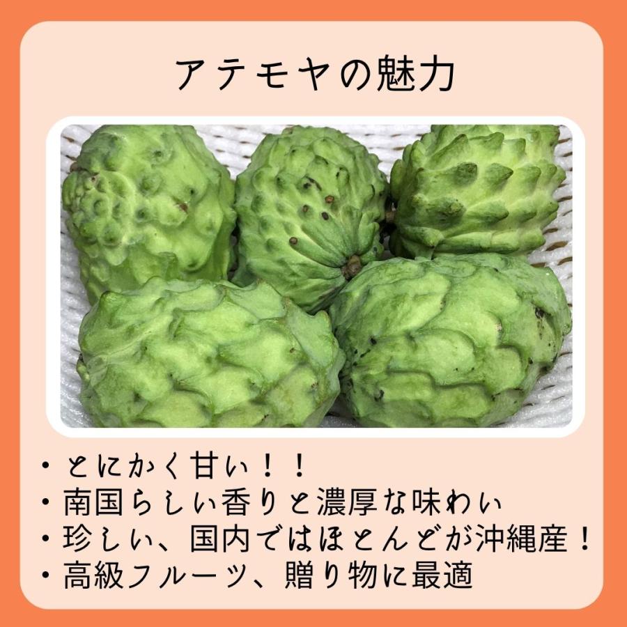 箱番号3. アテモヤ1kgあたり2100円4.45kg 秀品 ギフト JAおきなわ 沖縄産 アテモヤ 3〜4玉 1kg 1箱 トロピカル