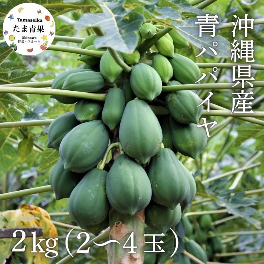 谷平さん専用ページ　青パパイヤ 　30KG　沖縄産 青パパイヤ 約2kg（日付指定不可）沖縄県産 野菜用 : 沖縄市場たま青果