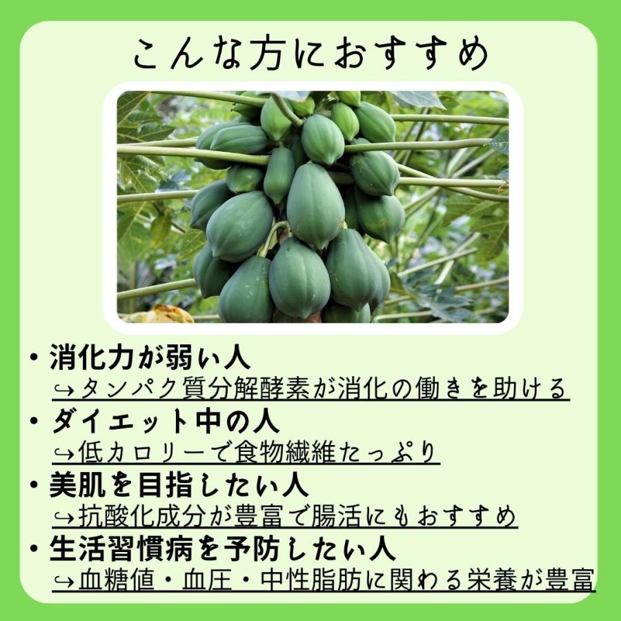 青パパイヤ 約2kg（日付指定不可）沖縄県産 野菜用 : 沖縄市場たま青果