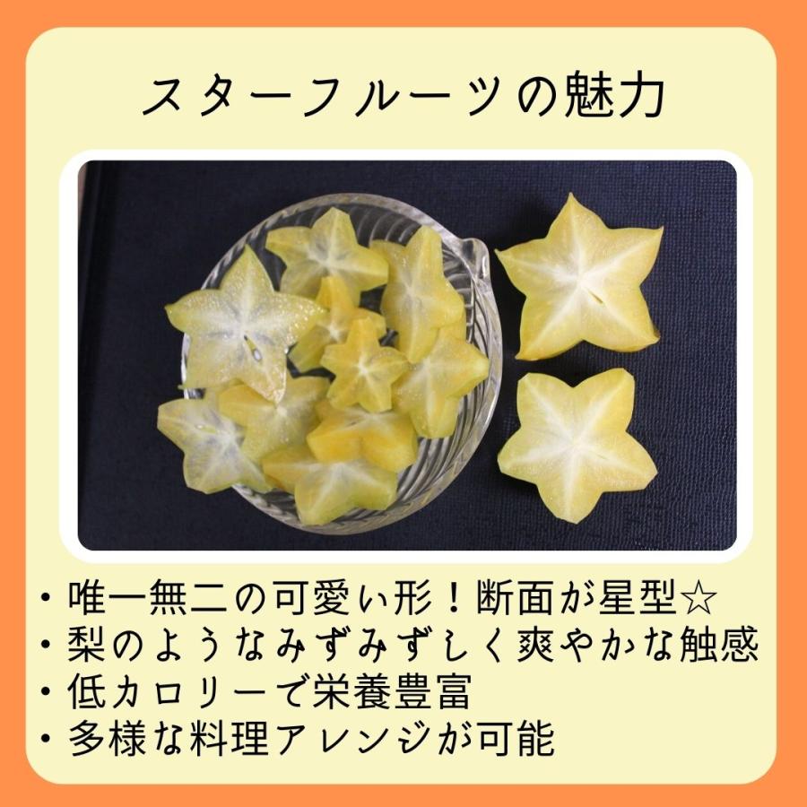 訳あり スターフルーツ 約1kg 沖縄県産 : 沖縄市場たま青果 - 通販