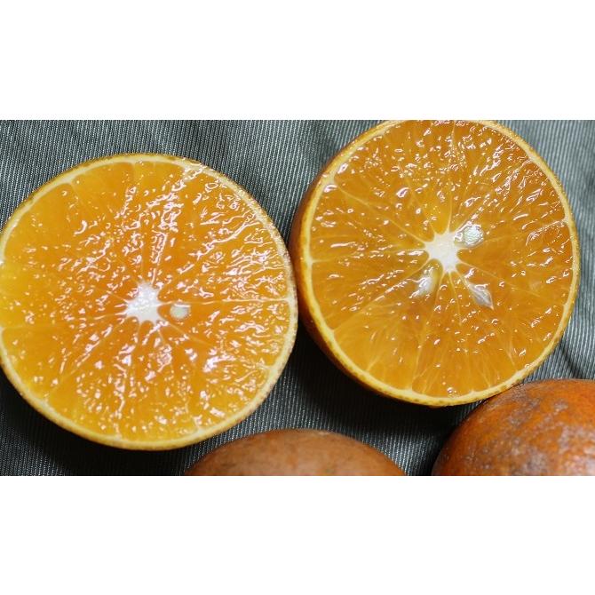 訳あり たんかん 約5kg (SS〜3Lサイズ混合) 沖縄県産 【発送開始1月