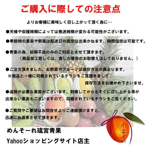 特秀品 宮古島産 マンゴー 贈答用 約1kg （2〜3玉）☆化粧箱入り【送料