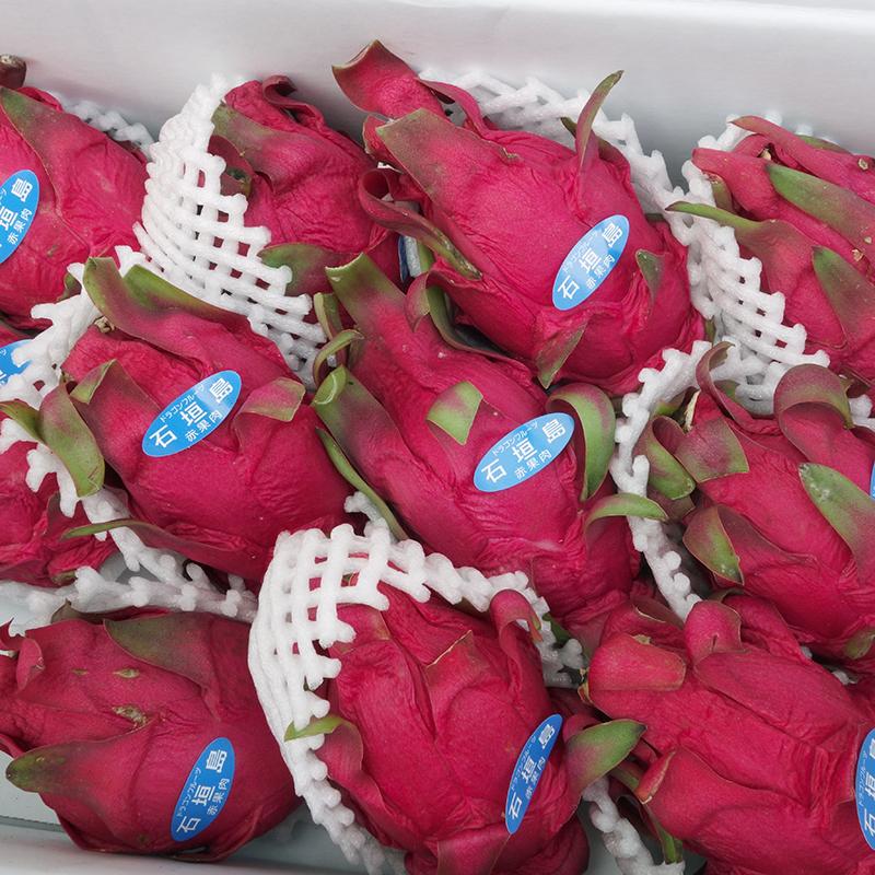 訳あり ドラゴンフルーツ 2Kg 赤沖縄県産 : 沖縄市場たま青果 - 通販