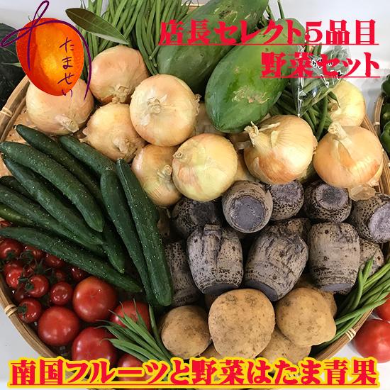 毎月発送/半年間☆旬の沖縄お任せベジフルセット！80サイズの箱に