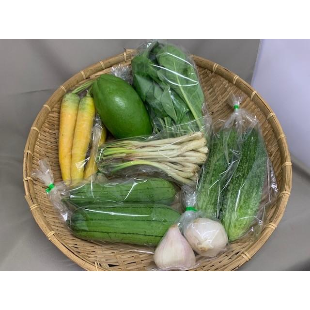 毎月発送/半年間☆旬の沖縄お任せベジフルセット！80サイズの箱に