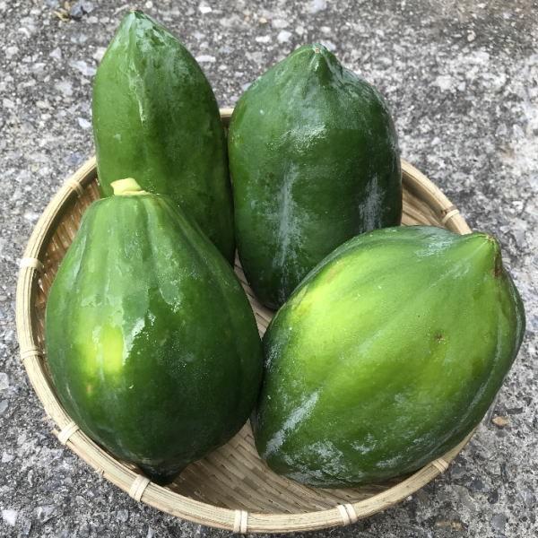 毎月発送/半年間☆旬の沖縄お任せベジフルセット！80サイズの箱に