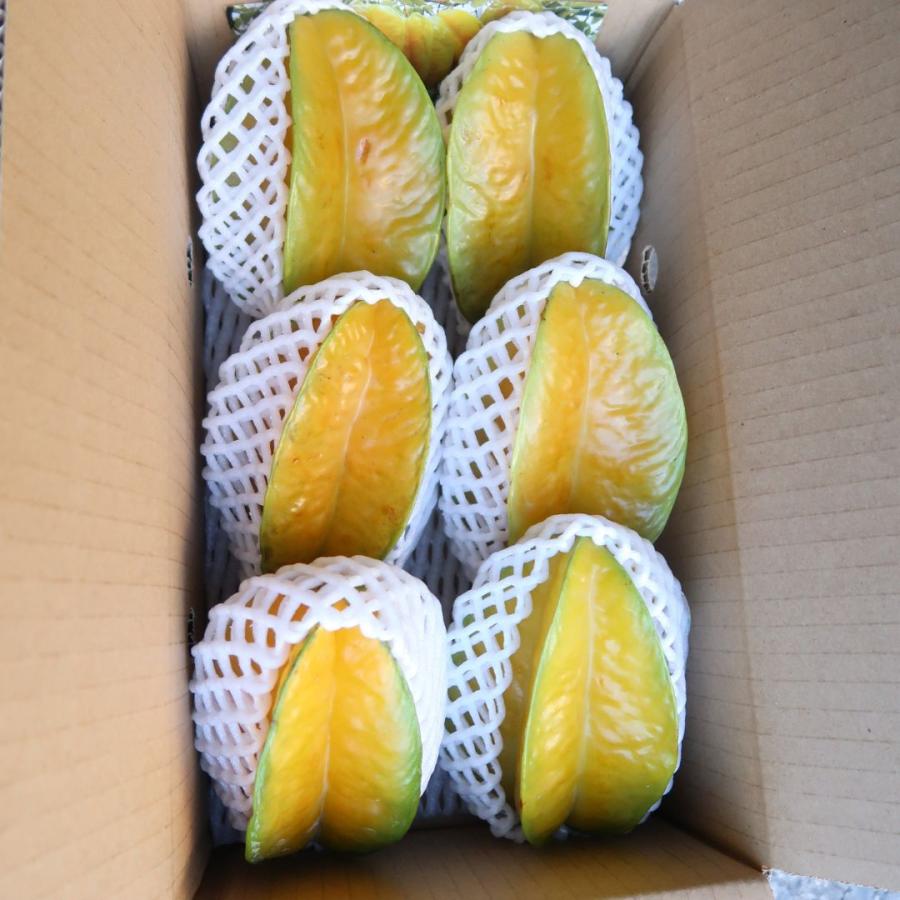 優品 スターフルーツ 約1kg（4〜6玉） 沖縄県産 : 沖縄市場たま青果