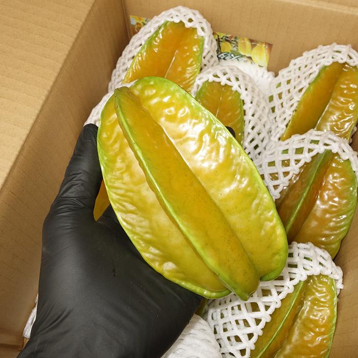 優品 スターフルーツ 約2kg（5〜12個）沖縄県産 沖縄県産の