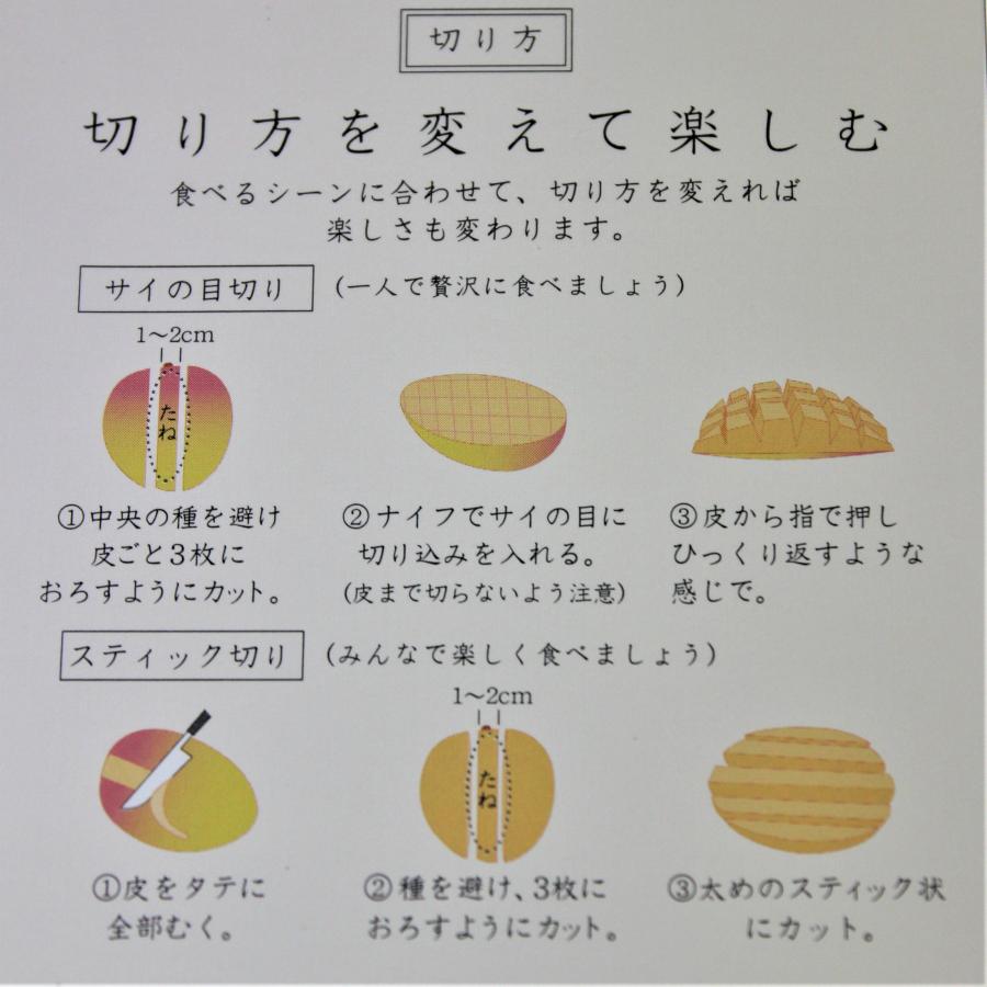 夏小紅マンゴー 約2kg（4〜8個） 発送7月下旬〜9月 新種稀少マンゴー