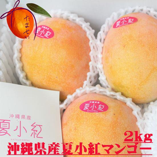 夏小紅マンゴー 約2kg（4〜8個） 発送7月下旬〜9月 新種稀少マンゴー