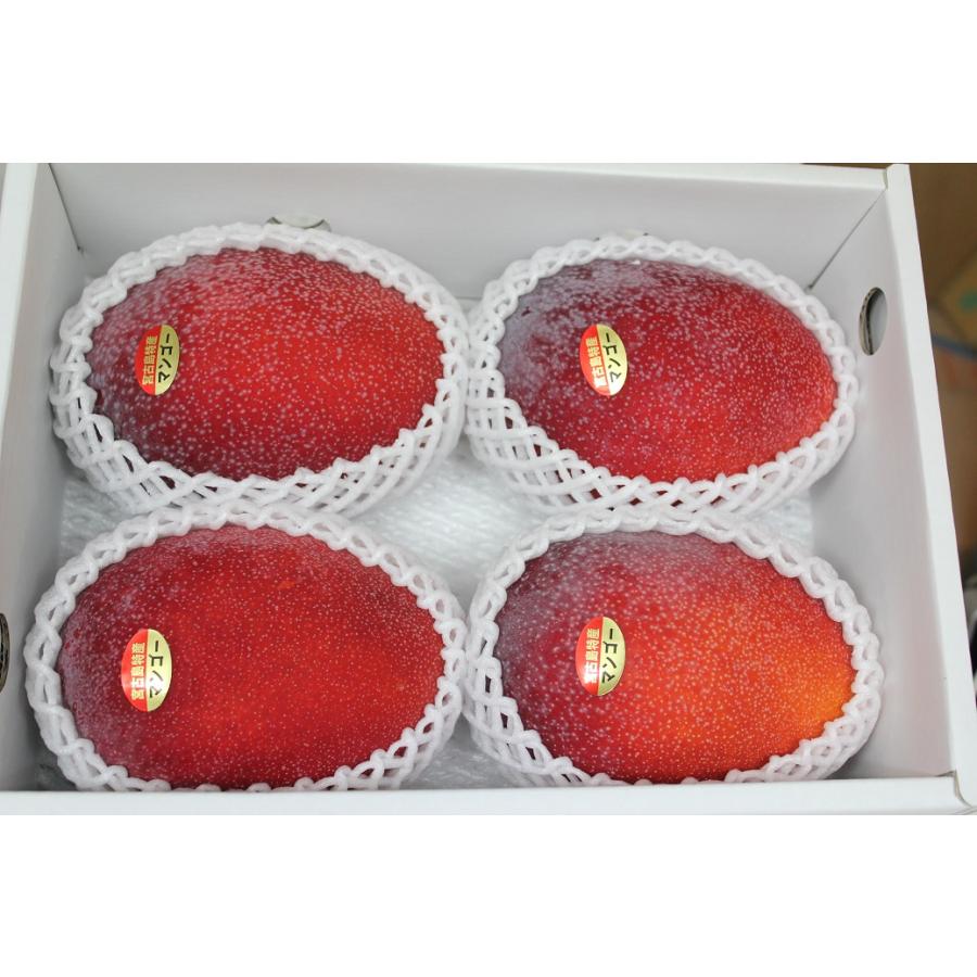アップルマンゴー　お中元・贈答用 秀品 アップルマンゴー 贈答用 約2kg（3〜6玉入り）☆化粧箱入り