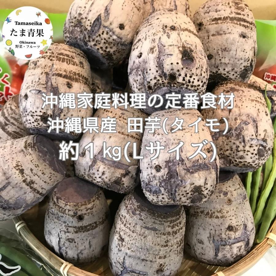 タイモ （Lサイズ） 1kg 【発送 年中ですがお待たせするとき有