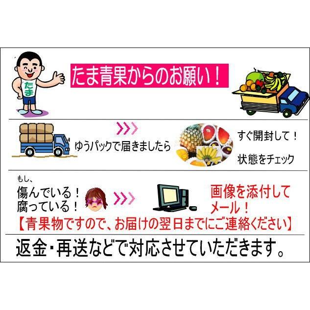 沖縄県産タイモ(ターム、田芋)5kg 【発送 年中ですがお待たせするとき有】 |mensore|02