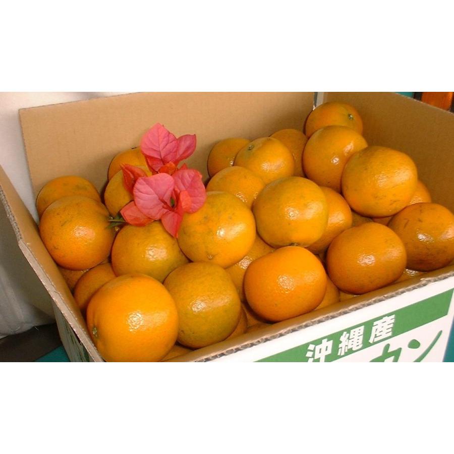 優品】沖縄産 タンカン 4kg やんばる 発送1〜2月【配達日指定不可