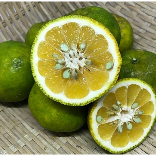 タルガヨー 約3kg 沖縄県産 : 沖縄市場たま青果 - 通販 - Yahoo