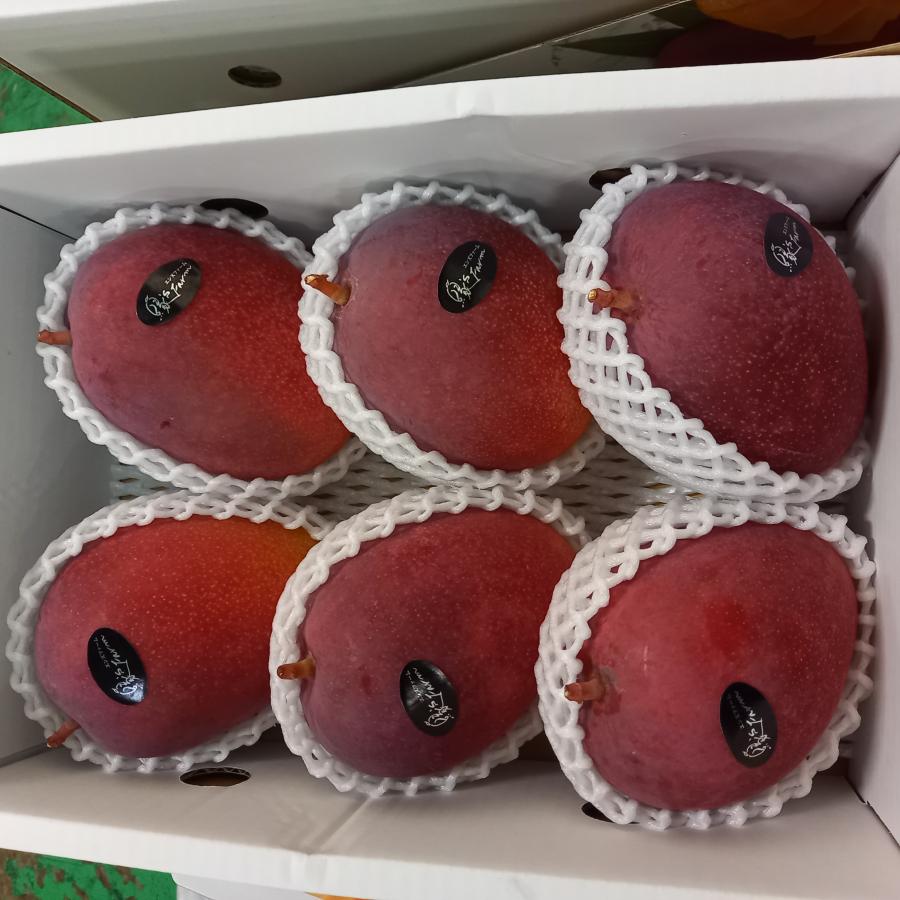 完熟アップルマンゴー 特秀品 約2kg 化粧箱入り 最高級品 ☆送料