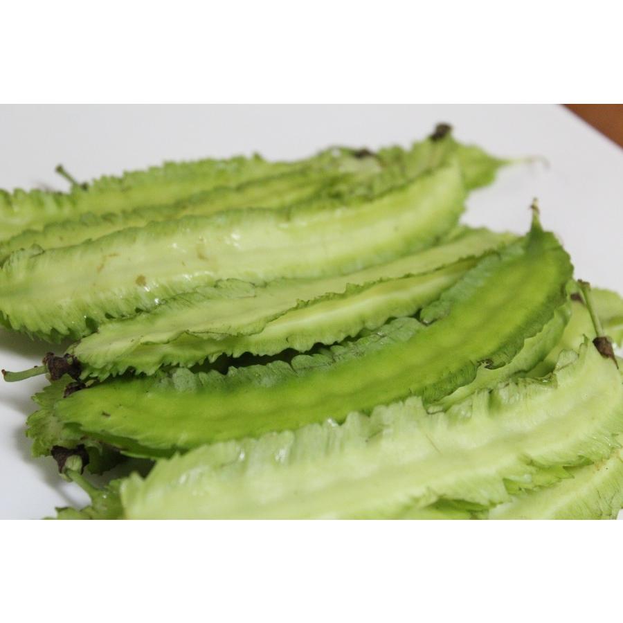 沖縄県産 うりずん豆 四角豆 5パック 約500g 発送4 11月 南国野菜 島野菜 炒め物 お浸し てんぷらに Urizun 500sale 沖縄市場たま青果 通販 Yahoo ショッピング