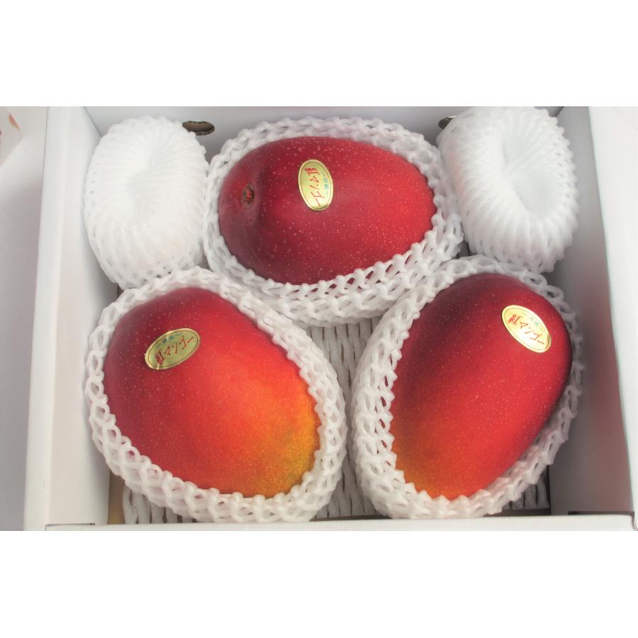 数量限定】優品 アップルマンゴー 大玉3玉入 (1.8〜2kg) 沖縄県産 
