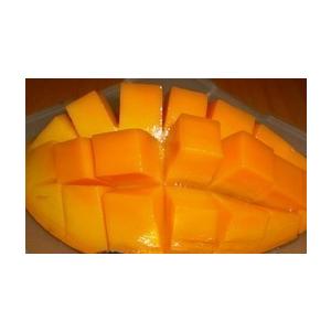 訳あり】金煌（キンコウ）マンゴー約1〜1．2kg（2〜3玉）【発送