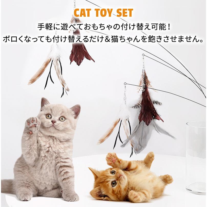 WONDER LABO猫じゃらし 釣竿 猫用おもちゃ 11点セット 猫用品 