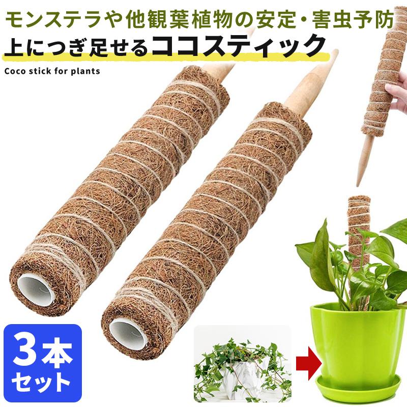 ココスティック 3本セット モンステラ 支柱 観葉植物 おしゃれ プランター 植木鉢 植物 園芸支柱 観葉支柱 ガーデニング ココスティック支柱 01 08 0391 Wonder Labo 通販 Yahoo ショッピング