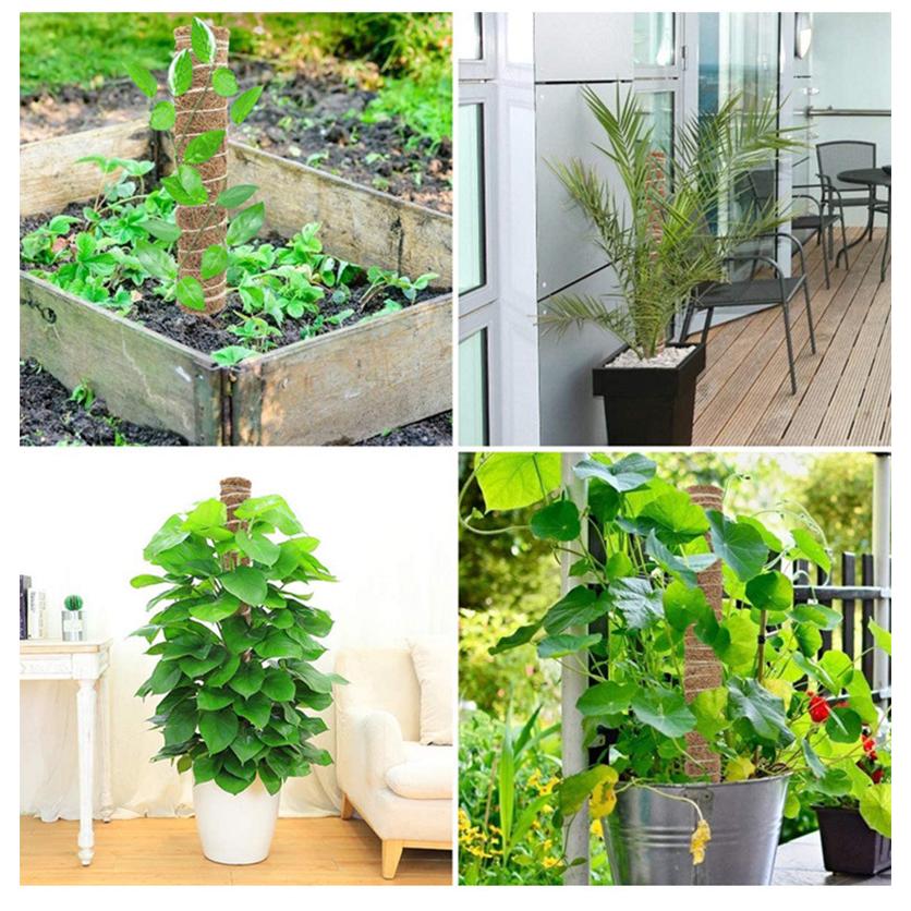 ココスティック 3本セット モンステラ 支柱 観葉植物 おしゃれ プランター 植木鉢 植物 園芸支柱 観葉支柱 ガーデニング ココスティック支柱 01 08 0391 Wonder Labo 通販 Yahoo ショッピング