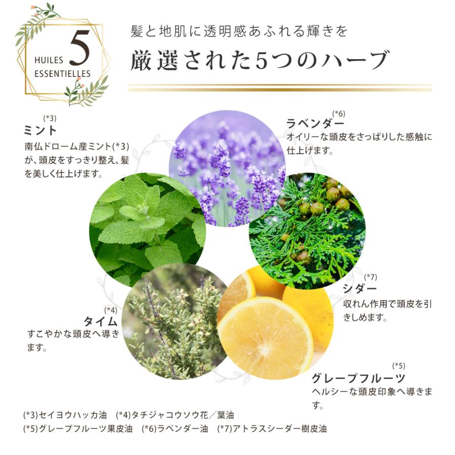 今年も話題の ロクシタン シャンプー 300ml コンディショナー 250ml 頭皮用美容液 スカルプセラム 100ml ギフト ヘアケア 3点セット ボリューム ストレングス 男性 女性 男女兼用 誕生日 代 30代 40代 50代 プレゼント ボリューム不足 ふんわり ハリ コシント Fucoa Cl