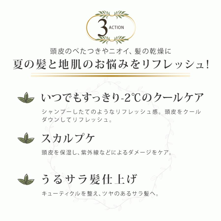 今年も話題の ロクシタン シャンプー 300ml コンディショナー 250ml 頭皮用美容液 スカルプセラム 100ml ギフト ヘアケア 3点セット ボリューム ストレングス 男性 女性 男女兼用 誕生日 代 30代 40代 50代 プレゼント ボリューム不足 ふんわり ハリ コシント Fucoa Cl