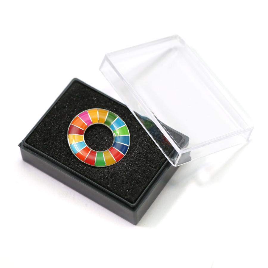 プラケース入り／SDGs ピンバッジ 1個 25mm エポキシ加工 ソフト
