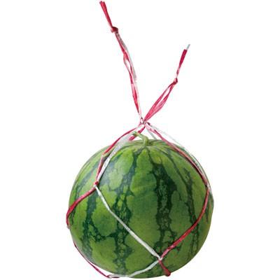 スイカネット / スイカネット68cm細手E／Sピンク／白 : メニュー