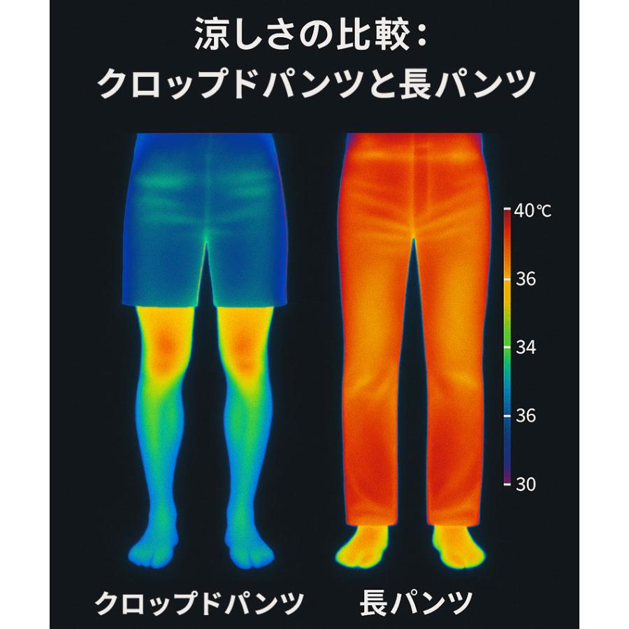 DANSKIN クロップドパンツ 7分丈 在庫処分品】DANSKIN（ダンスキン）オールデイアクティブ