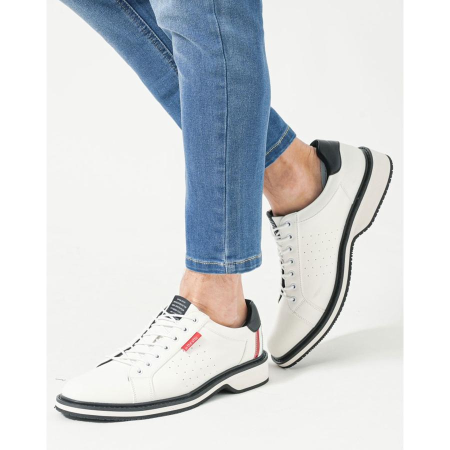 おまとめ 2_000000040857.jpg?1740103580