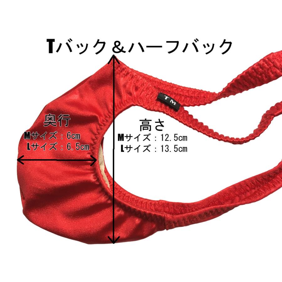 TMコレクション プロデュース オリジナル水着 WET Tフロント ハーフバック Lサイズ Swimwear MensBikini Lsize 115478｜menzbikini｜09