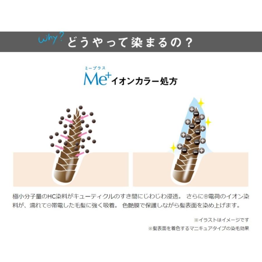 白髪染め スカルプ シャンプー リフィル2点セット 2 3ヵ月分 頭皮ケア 白髪染め 白髪を増やさない ハリコシup 毛根洗浄 男女兼用 毛髪診断士監修 0702 15 ミープラスyahoo 店 通販 Yahoo ショッピング