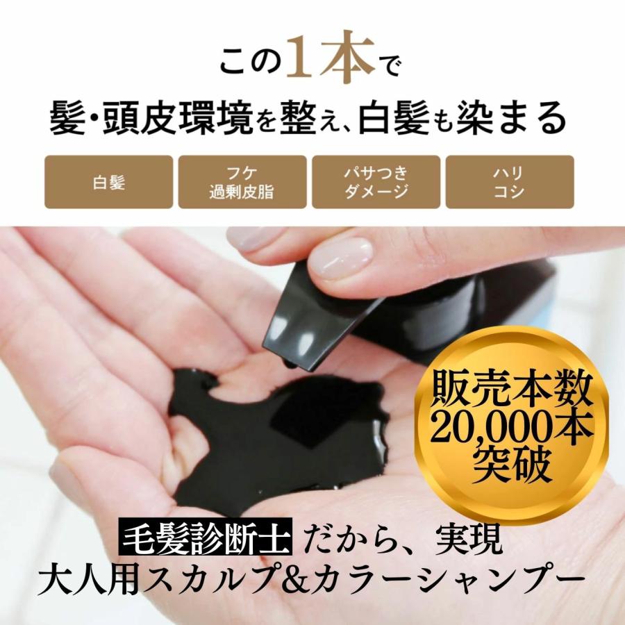 ミープラス 白髪染め シャンプー 300ml 毛髪診断士設計 手が汚れない