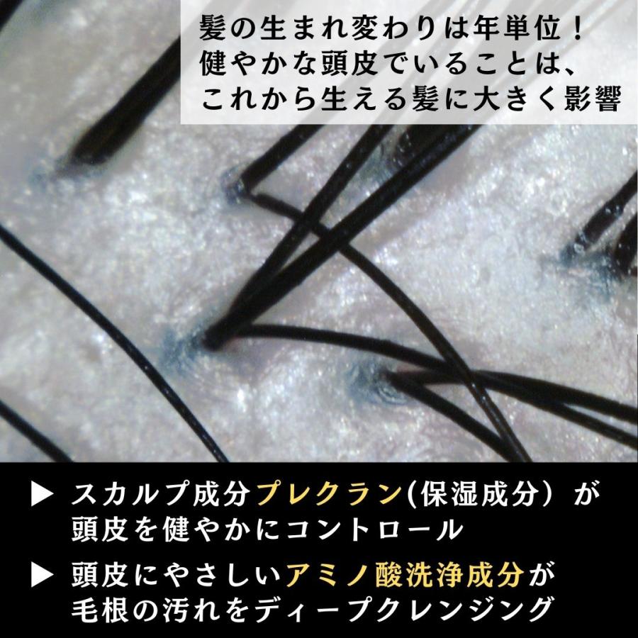 毛髪診断士が設計】ミープラス スカルプ&カラーシャンプー 白髪ケア