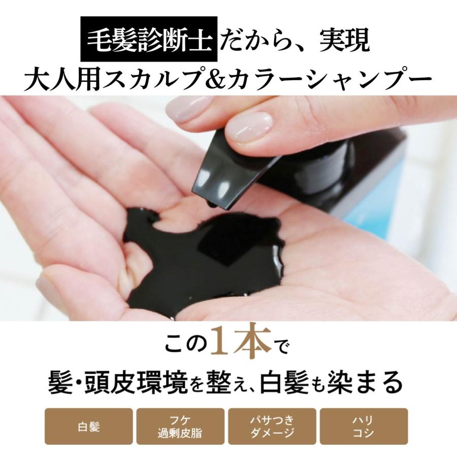 ボトルより1000円お得／送料無料 ミープラス 白髪染め 無添加 スカルプ